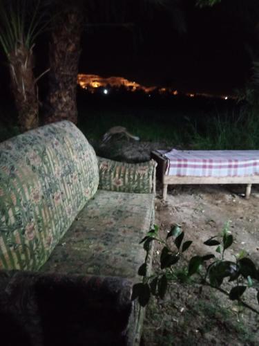 Magic West Bank – Photos 3