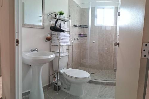 Departamento Ciudad MayaKoba 2 habitaciones في بلايا ديل كارمن: حمام مع مرحاض ودش ومغسلة