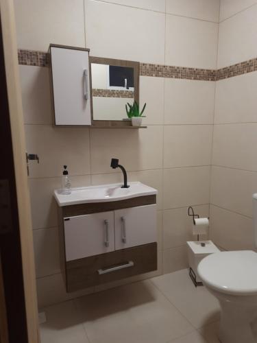 ein Badezimmer mit einem Waschbecken, einem WC und einem Spiegel in der Unterkunft HillTop Serra da Mantiqueira in Sapucaí-Mirim