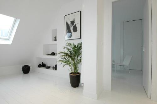a white room with a potted plant on the floor at La suite Monceau in Paris