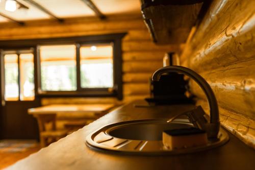 una cocina con fregadero en una cabaña de madera en Шепіт Карпат en Synevyrsʼka Polyana