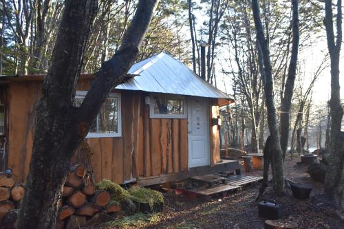 eine Hütte im Wald mit einem Baum in der Unterkunft Refugio El Cauque in Puerto Williams