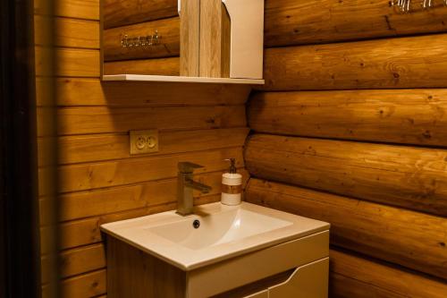 a bathroom with a sink and a wooden wall at Шепіт Карпат in Synevyrsʼka Polyana