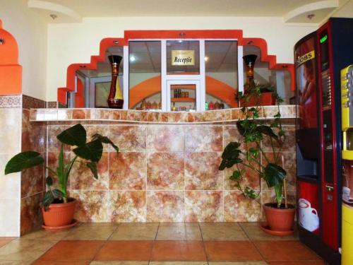 eine Lobby mit Topfpflanzen an einer Wand in der Unterkunft Orizont Hotel in Suceava