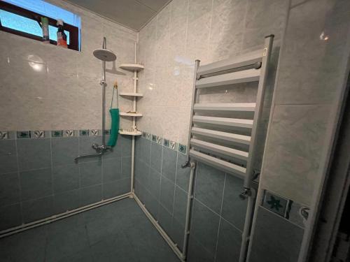 a bathroom with a shower with a ladder in it at Panoramic Tufandag family Apartment in Gabala