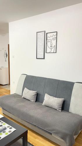a gray couch in a living room with two pillows at Family Home Niš , FREE parking in Niš