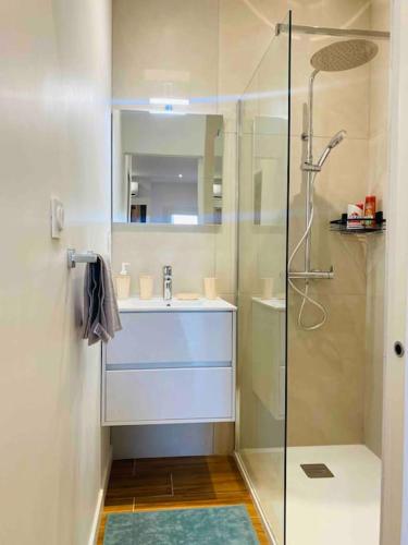 une salle de bain avec un lavabo et une douche en verre dans l'établissement Studio du château climatisée, à Carcassonne