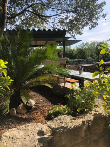 a garden with a table and a palm tree at Au bout du pré in Pézenas