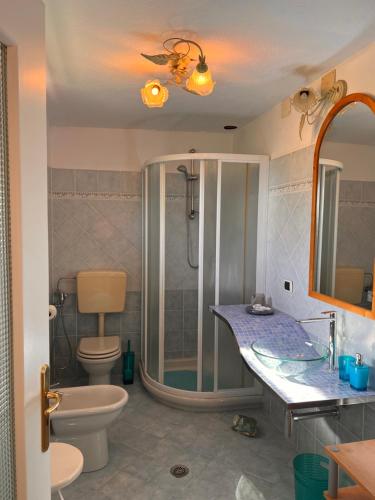 a bathroom with a shower and a toilet and a sink at b&b Antiche Pietre in Bollengo