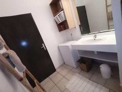 a bathroom with a sink and a toilet and a mirror at Le tamarin bleu - Studio à 300 m de la plage in La Saline les Bains