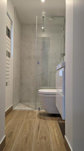 une salle de bain avec douche et baignoire et toilettes dans l'établissement Maison Les 3 oies, au Crotoy