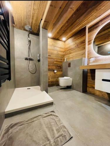 La salle de bains est pourvue d'une douche et de toilettes. dans l'établissement Appart hyper centre Font Romeu, à Font-Romeu-Odeillo-Via