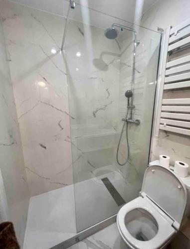 une salle de bain avec toilettes et douche en verre dans l'établissement Cozy studio in center Paris (quartier Marais), à Paris