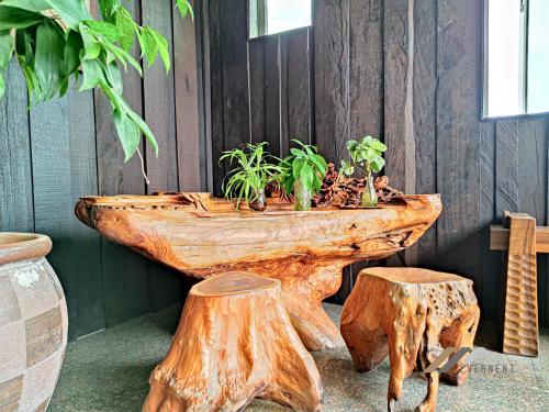 a table made out of tree stump logs with plants in it at Mciti Suites by Evernent in Miri