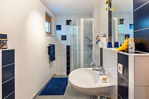 La salle de bains est pourvue d'un lavabo et d'une douche. dans l'établissement Geräumige Ferienwohnung mit Garten, à Denkingen