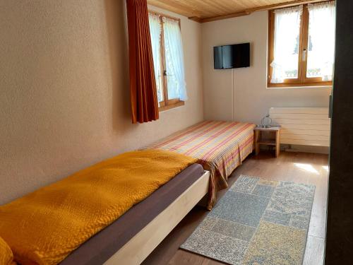 a small bedroom with a bed and a television at Alpenchalet Spiher Gstaad Ferienwohnung im Parterre in Gstaad