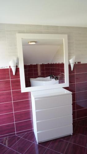 a bathroom with a white sink and a mirror at Vila Vesna in Arandjelovac