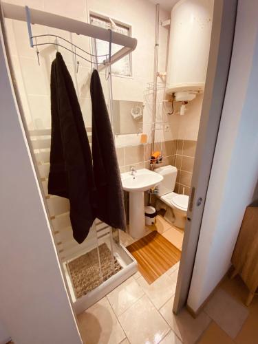 une salle de bain avec un lavabo et des toilettes dans l'établissement Le studio du Port Place adultes gratuite pour la réserve africaine de sigean, à Port-la-Nouvelle