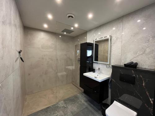 uma casa de banho com um chuveiro, um WC e um lavatório. em Apartament Willa Piotrowice 
