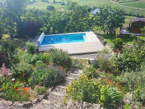 une piscine au milieu d'un jardin dans l'établissement Au pied du Figuier, à Pauligne