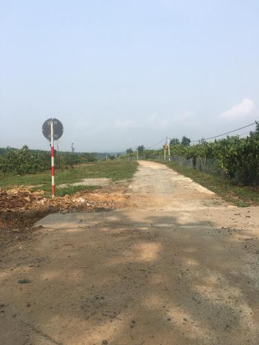 a dirt road with a sign on the side at Bảo Châu Farm 