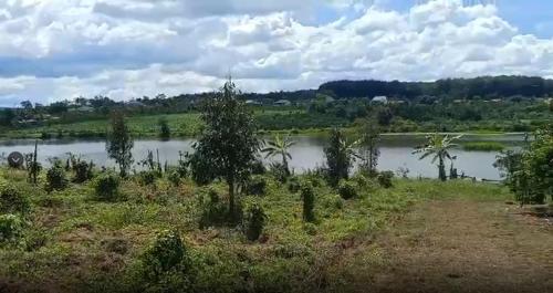 a view of a body of water with trees at Bảo Châu Farm 