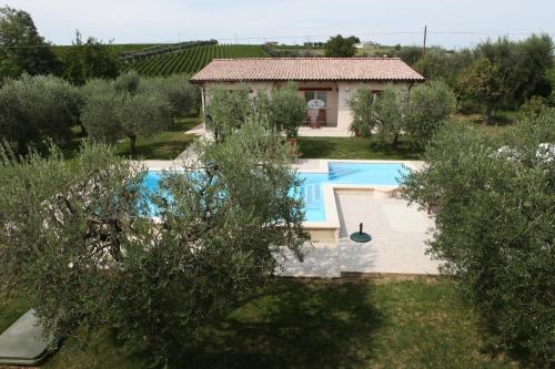 an external view of a villa with a swimming pool and olive trees at Villa Torri in Torano Nuovo