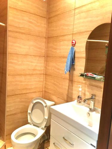 een badkamer met een toilet en een wastafel bij Nana's Guest House in Tbilisi City