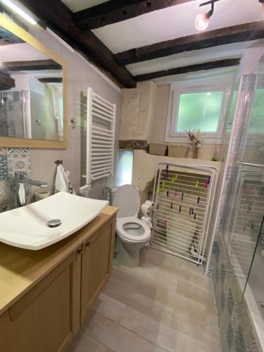 uma casa de banho com um lavatório branco e um WC. em LE PTIT SAINT-FRONT em Périgueux