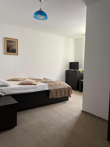a bedroom with a bed and a dresser in a room at Casa Anastasia - Moieciu de Sus in Moieciu de Sus