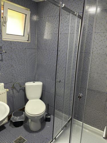a bathroom with a toilet and a shower and a sink at Casa Anastasia - Moieciu de Sus in Moieciu de Sus