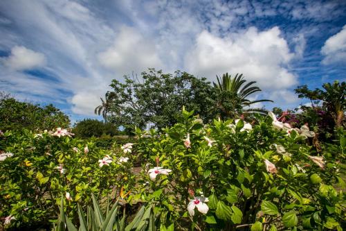 Un jardín fuera de Hostal Uruhao