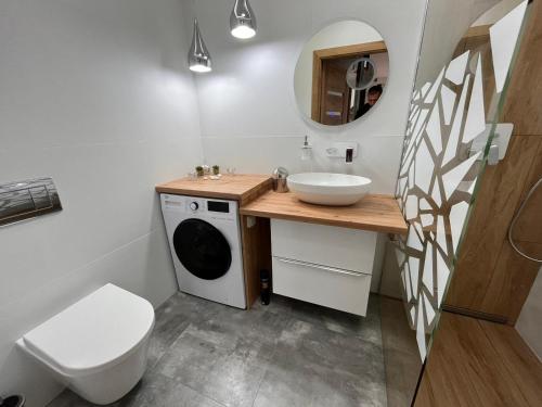 濟夫努夫的住宿－Apartament Pod Dmuchawcem，一间带水槽和洗衣机的浴室