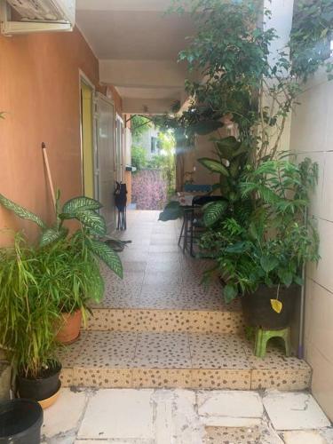 a hallway with potted plants in a building at Maison T3 75m2 in Ouangani