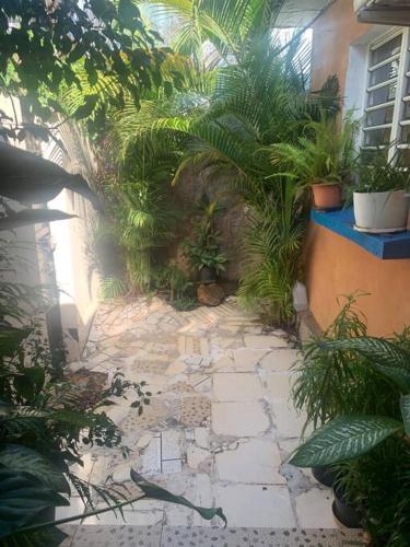 Ouangani的住宿－Maison T3 75m2，种有植物的花园以及石头人行道