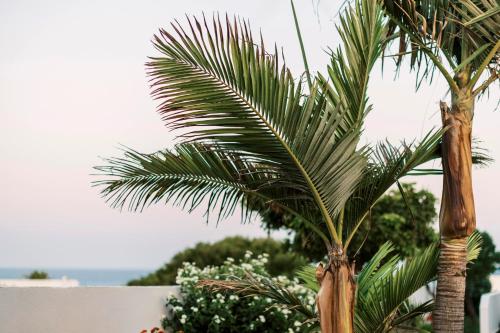 a couple of palm trees in a yard at Villa Deep Blue in Lachania