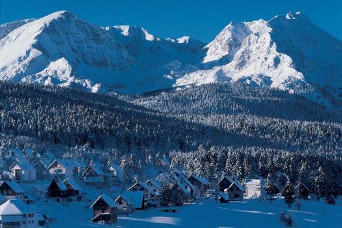 a snow covered mountain with a town with houses and trees at Apartman ANA in Žabljak