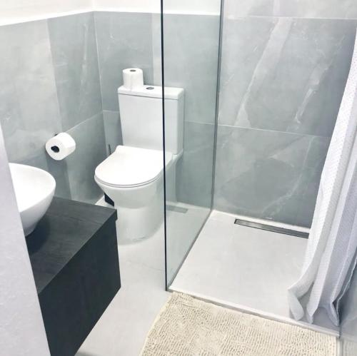 uma casa de banho com um WC e uma cabina de duche em vidro. em Casa Silva Diamond no Pinhal Novo