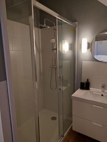 une salle de bain avec douche et lavabo dans l'établissement Le gite des Choiseaux, piscine et parc au cœur de la nature, à Suèvres