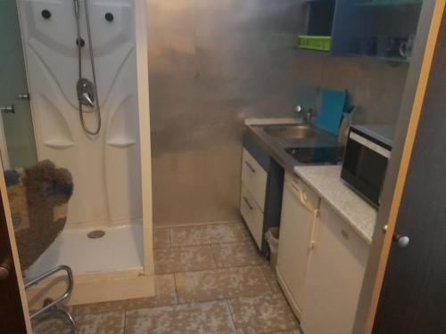 a small kitchen with a shower and a sink at Nice Apartments Prague in Prague