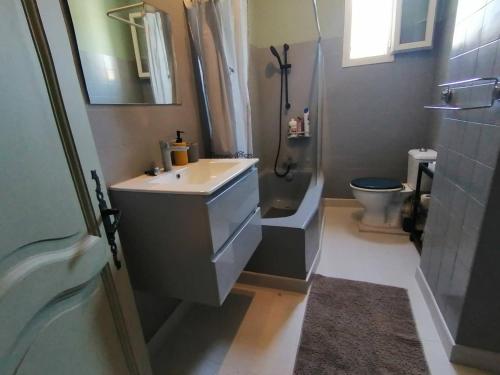 une salle de bain avec un lavabo, une douche et des toilettes dans l'établissement Maison 3 chambres+Centre ville+Terrase, à Arles