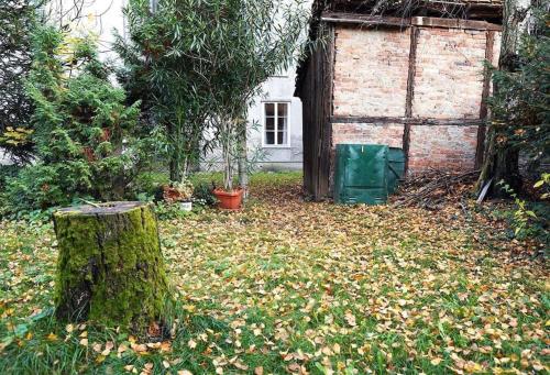 Apartman Green