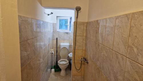 a bathroom with a toilet and a window at Къща за гости Пантови in Gramatikovo