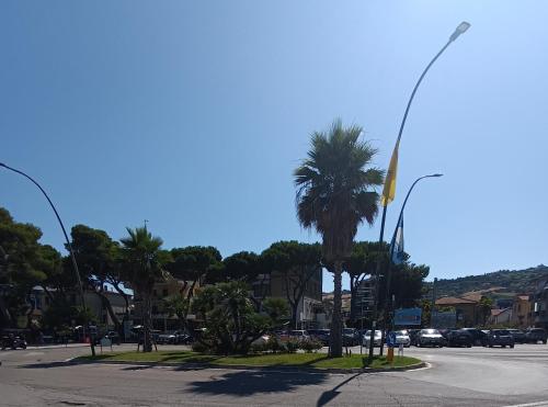 a street with a palm tree on the side of a road at Atlantic Roseto sul mare in Roseto degli Abruzzi