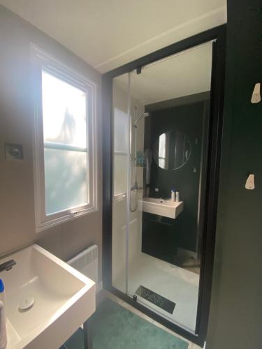 a bathroom with a shower and a sink and a mirror at Logement Clos des Anges in Ménilles