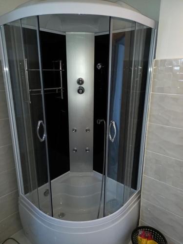 een douche met een glazen deur in de badkamer bij Twins Residence 2 APART HOTEL Ap 3 2 rooms in Chiajna