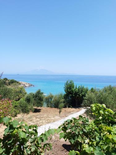 Φυσικό τοπίο κοντά σε αυτό το διαμέρισμα