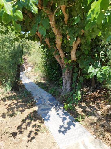 Φωτογραφία από το άλμπουμ του VILLA AGIA AIKATERINI στο Αμμούδι