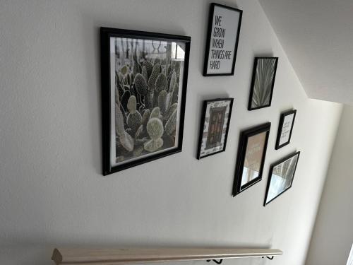 a wall with pictures of cacti on it at TROPICAL HOME PORTO CERESIO in Porto Ceresio