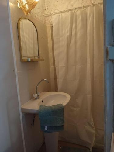 W łazience znajduje się umywalka, lustro i prysznic. w obiekcie Magnanerie du Perrier : studio indépendant au pied des Cévennes w mieście Pompignan